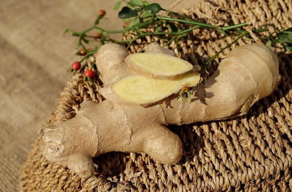 importance-of-ginger